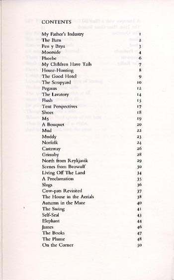 We Were Pedestrians (Paperback)