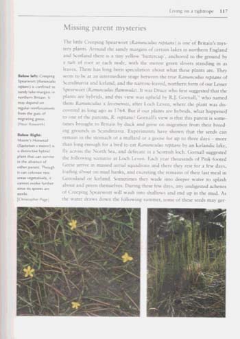 Britain's Rare Flowers (Paperback)