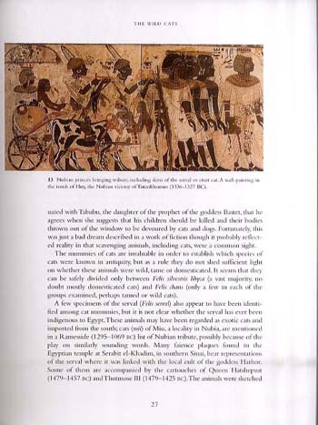 The Cat in Ancient Egypt (Paperback)