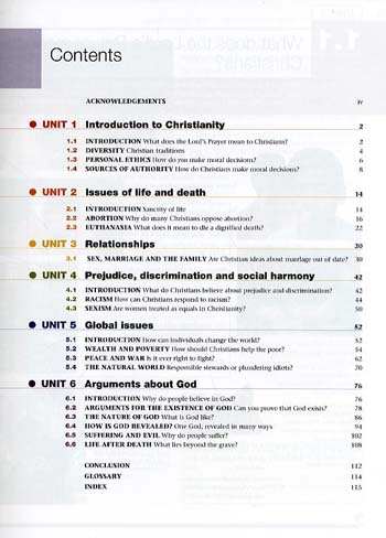 Christianity in Today's World - Religion in Focus (Paperback)