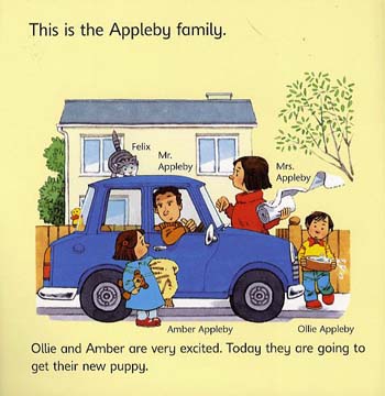 Usborne First Experiences The New Puppy - First Experiences (Paperback)