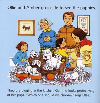 Usborne First Experiences The New Puppy - First Experiences (Paperback)