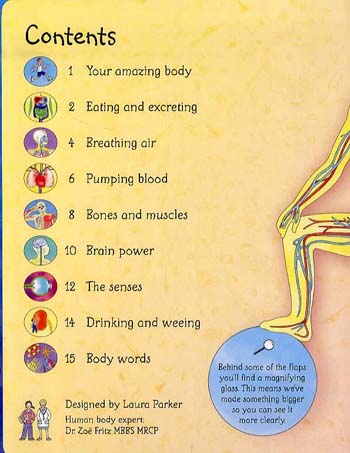 See Inside Your Body - See Inside (Board book)
