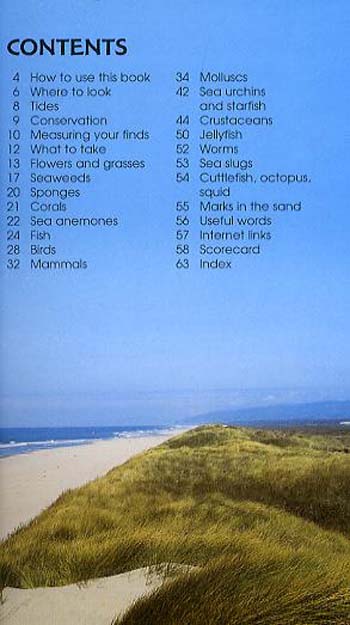 Seashore - Spotter's Guide (Paperback)