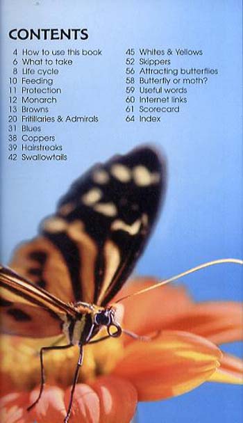 Butterflies - Spotter's Guide (Paperback)