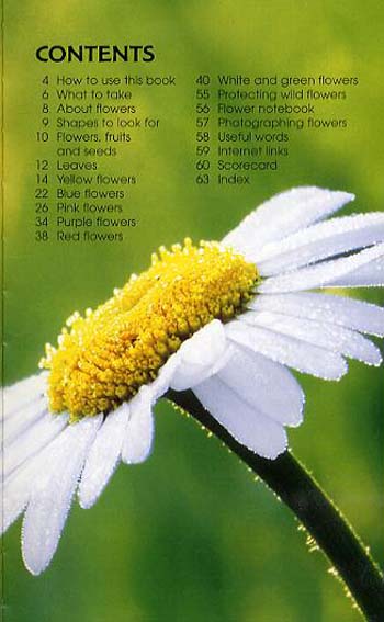 Wild Flowers - Spotter's Guide (Paperback)