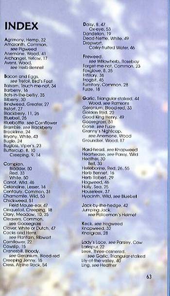 Wild Flowers - Spotter's Guide (Paperback)