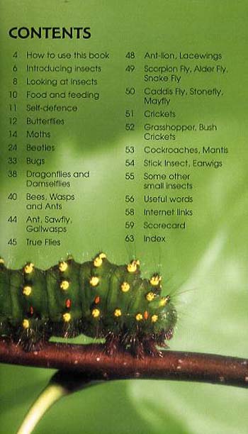 Bugs And Insects - Spotter's Guide (Paperback)