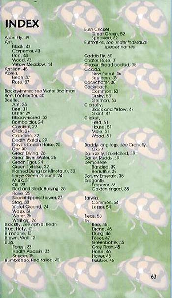 Bugs And Insects - Spotter's Guide (Paperback)