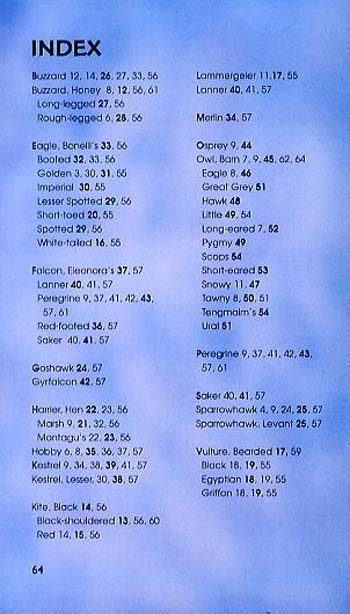Birds Of Prey - Spotter's Guide (Paperback)