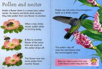 How Flowers Grow - Beginners Series (Hardback)