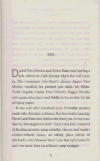 Double Homicide (Paperback)