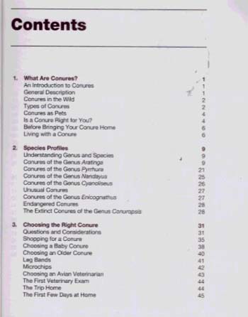 The Conure Handbook - Pet Handbooks (Paperback)