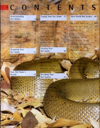 Corn Snakes and Other Rat Snakes - Complete Pet Owner's Manual (Paperback)