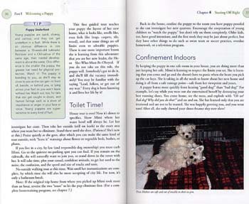 Puppy Care and Training - Happy Healthy Pet (Hardback)