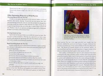 The Parrot Problem Solver - Quick and Easy (Hardback)