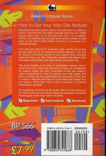 How to Get Your Website Noticed (Paperback)