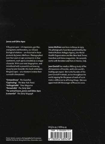 James and Other Apes (Hardback)
