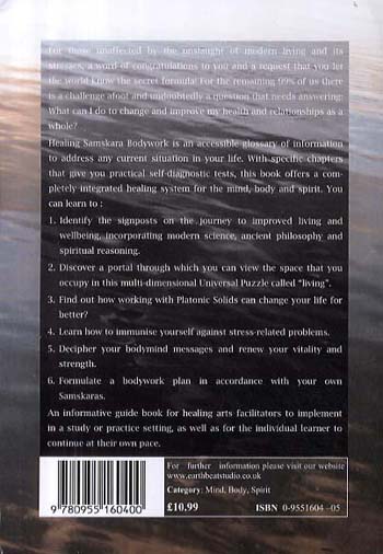 Healing Samskara Bodywork: A Guide to Your Samskaras (Paperback)