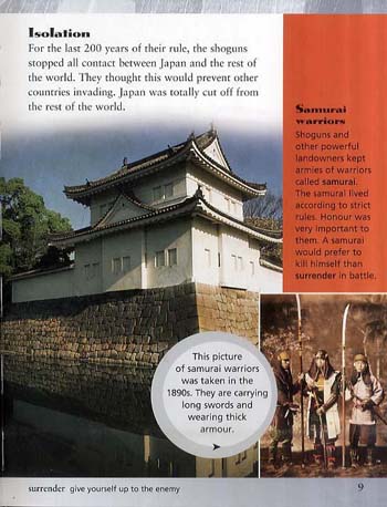 Japan - Raintree Freestyle Express: Destination Detectives (Paperback)