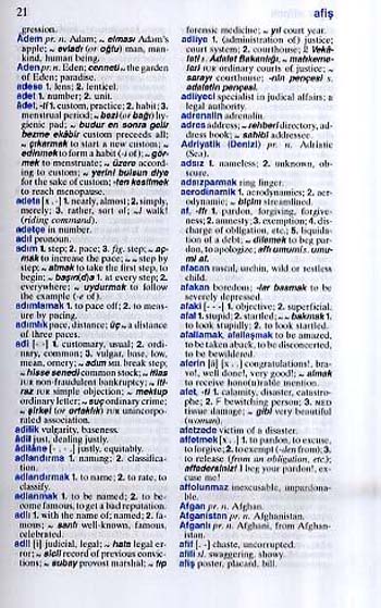 Langenscheidt New Standard Dictionary Turkish - Langenscheidt Dictionaries (Paperback)