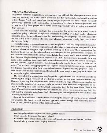 The Dog Bible: Everything Your Dog Wants You to Know (Paperback)