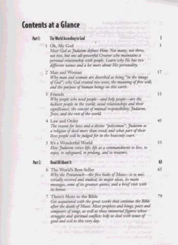 The Complete Idiot's Guide to Understanding Judaism (Paperback)