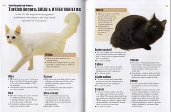 Cat Breed Handbook: The Complete Reference from Abyssinians to Siamese (Hardback)