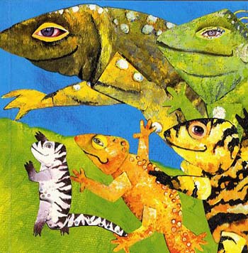 Chameleon Races (english-turkish) (Hardback)