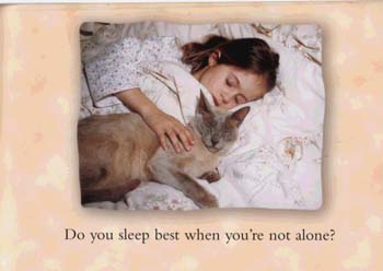 Bedtime! - Small World S. (Paperback)