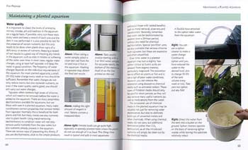 Mini Encyclopedia of Aquarium Plants (Paperback)