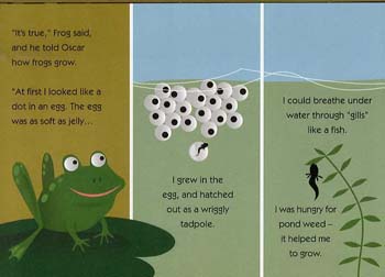 Oscar & The Frog: A Book About Growing (Hardback)