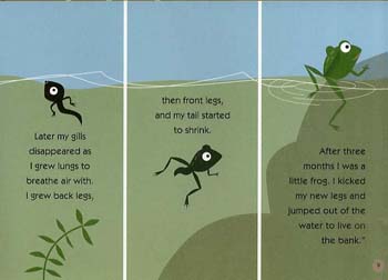 Oscar & The Frog: A Book About Growing (Hardback)