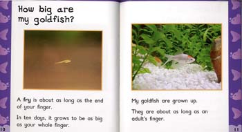 Goldfish - Read and Learn: Pets in My House (Paperback)