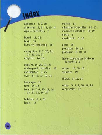 Butterflies Up Close - Raintree Perspectives: Minibeasts Up Close (Paperback)