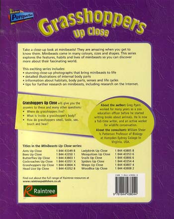 Grasshoppers Up Close - Raintree Perspectives: Minibeasts Up Close (Paperback)