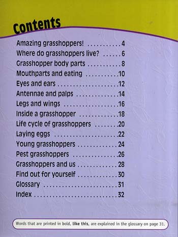 Grasshoppers Up Close - Raintree Perspectives: Minibeasts Up Close (Paperback)