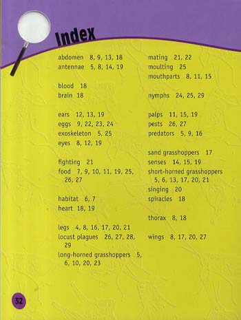 Grasshoppers Up Close - Raintree Perspectives: Minibeasts Up Close (Paperback)
