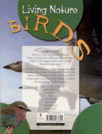 JR NATURE GUIDES BIRDS (Paperback)