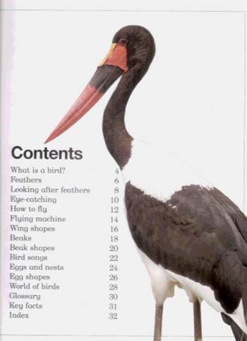 JR NATURE GUIDES BIRDS (Paperback)