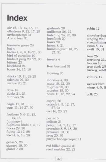 JR NATURE GUIDES BIRDS (Paperback)