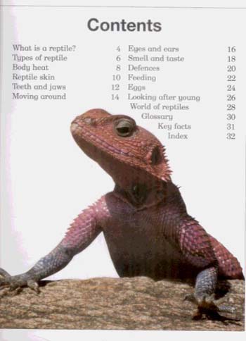 Reptiles - Living Nature S. (Paperback)