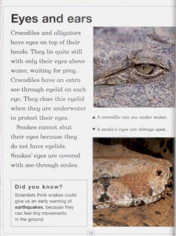 Reptiles - Living Nature S. (Paperback)