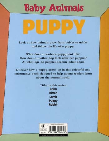 Baby Animals Puppy (Paperback)