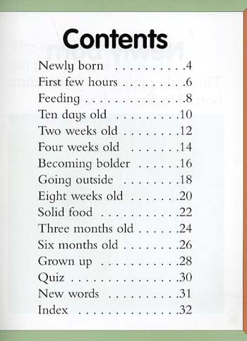 Baby Animals Puppy (Paperback)
