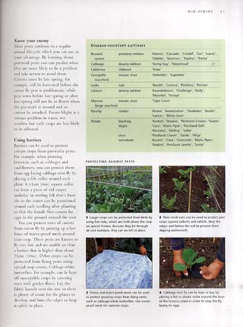 Growing Vegetables and Fruit Around the Year (Paperback)