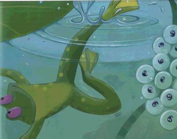 The Teeny Weeny Tadpole (Paperback)