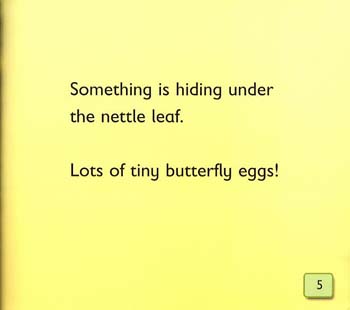 Life Cycles: From Caterpillar to Butterfly - Start Talking S. (Paperback)