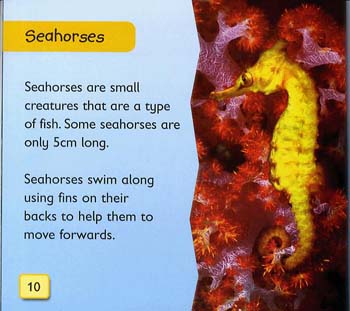 Sea Creatures - Start Reading S. (Paperback)
