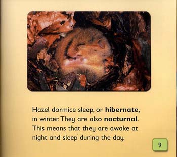 Animals in Danger - Start Reading S. (Paperback)